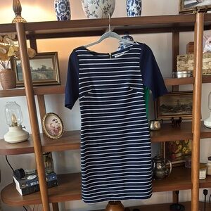 Blue and White Sheath Dress with Raglan Sleeves